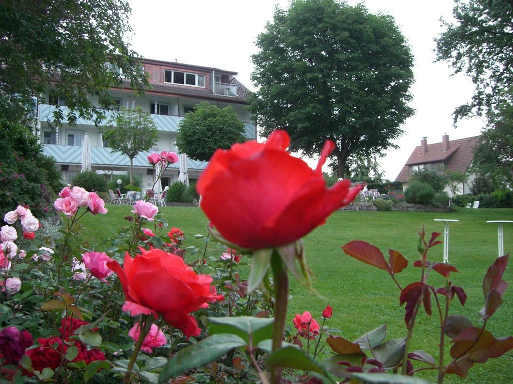 Hotel-Restaurant Schwedi Langenargen Bagian luar foto